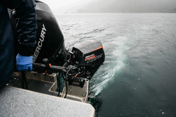 Mercury 15 HP ELHPT EFI ProKicker Outboard Motor - Image 9